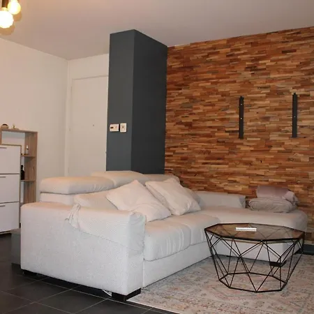 Chez Jades Apartment Saint-Julien-en-Genevois Exterior photo